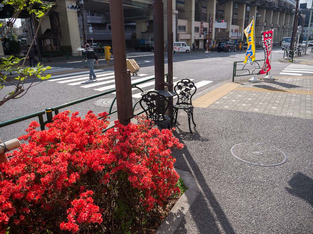 P1010829.jpg