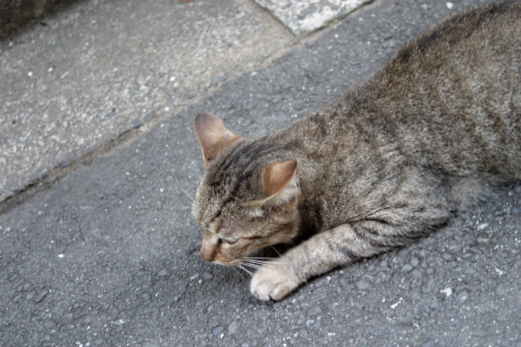 CRW_5742_DxO
