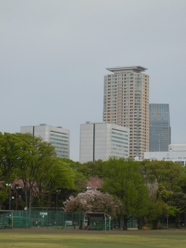 DSCN3187