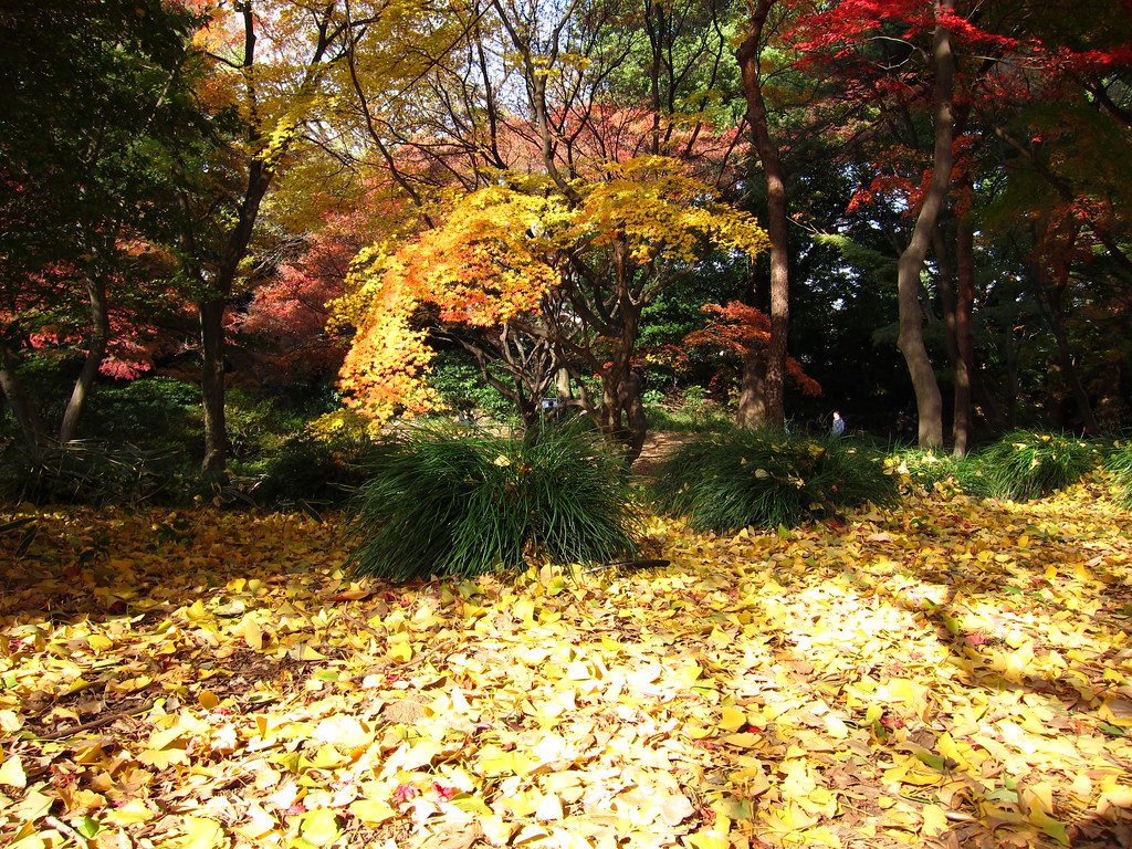 @六義園