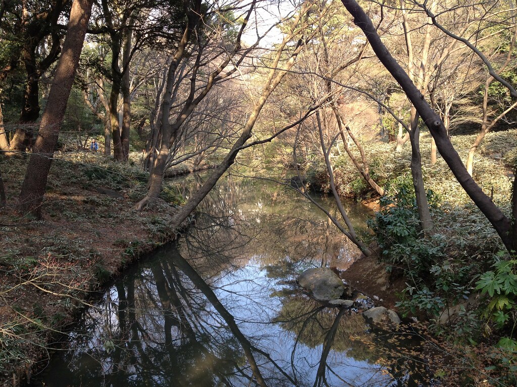 Rikugien