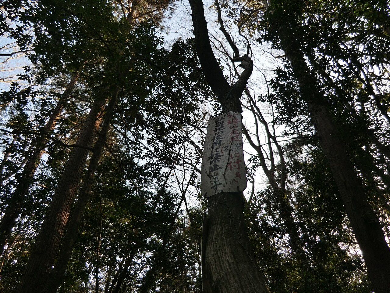 九尺の公道