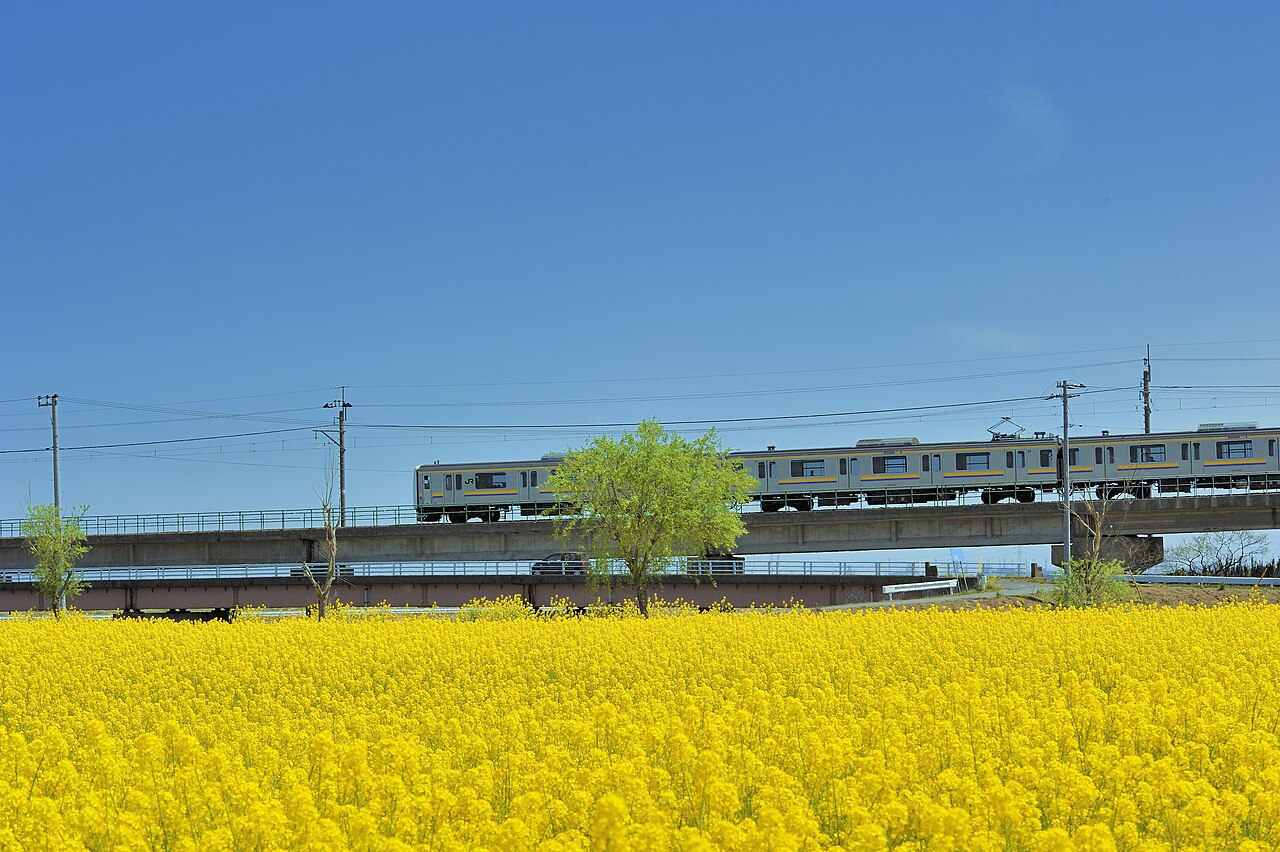 Yellow Train