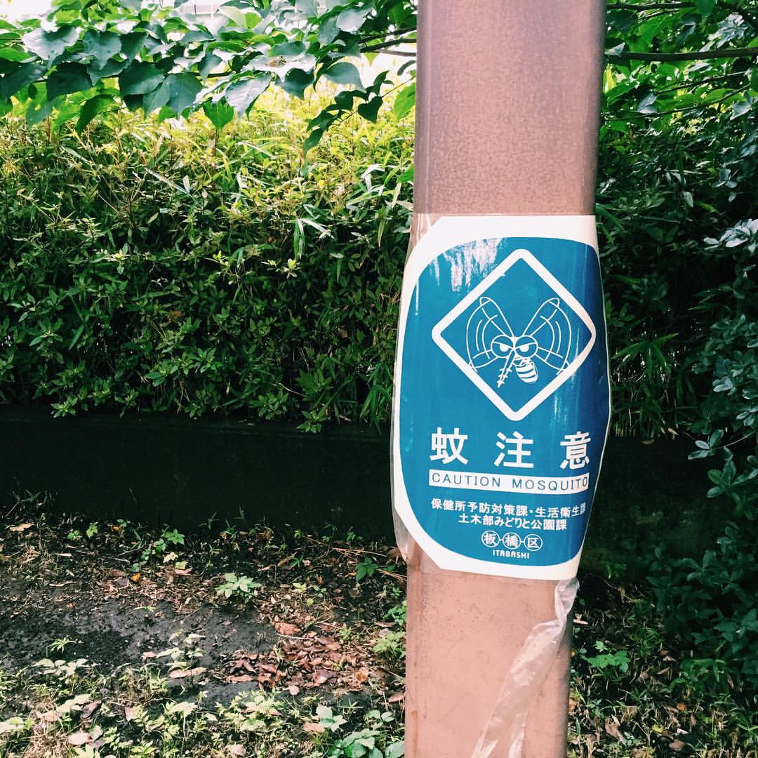 mosquito #sign #虫 #蚊子