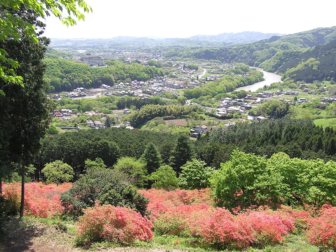 金尾つつじ山公園
