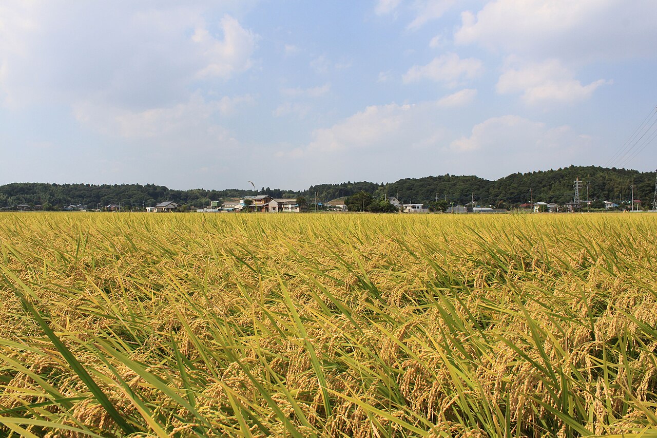 下総松崎駅付近の風景