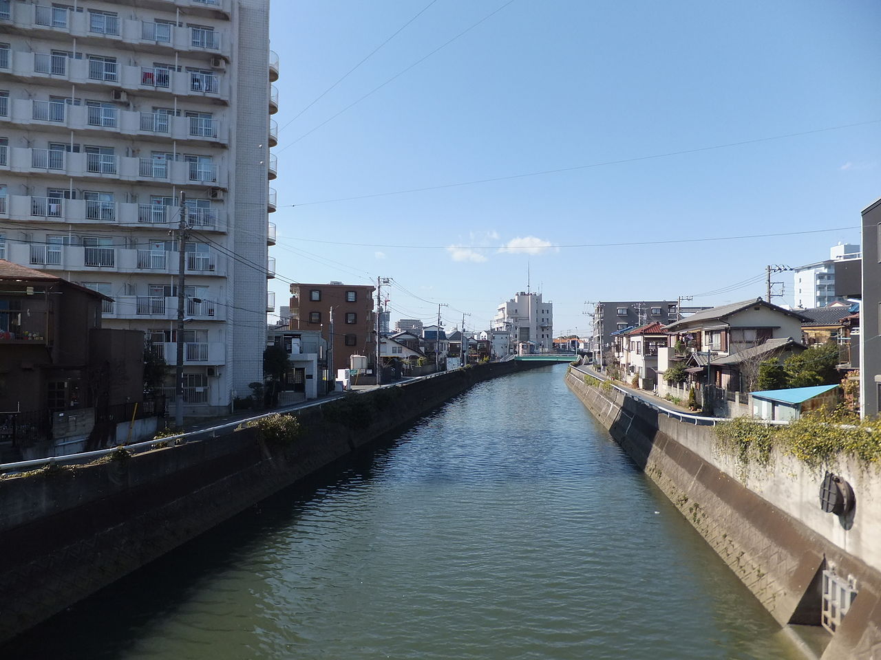 千葉県市川市を流れる真間川、新川橋にて