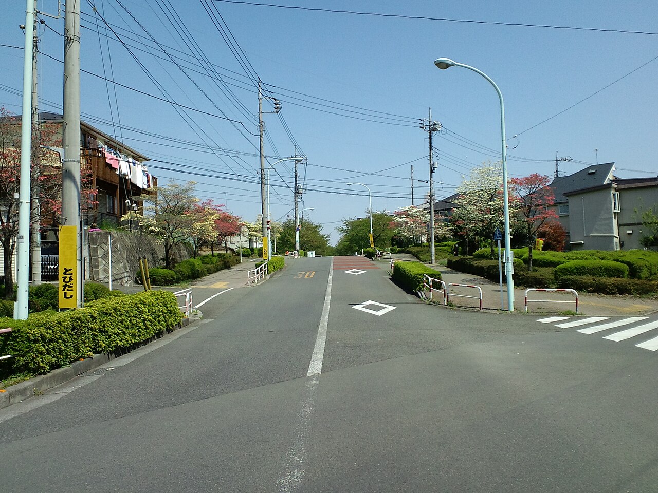 さくら通り