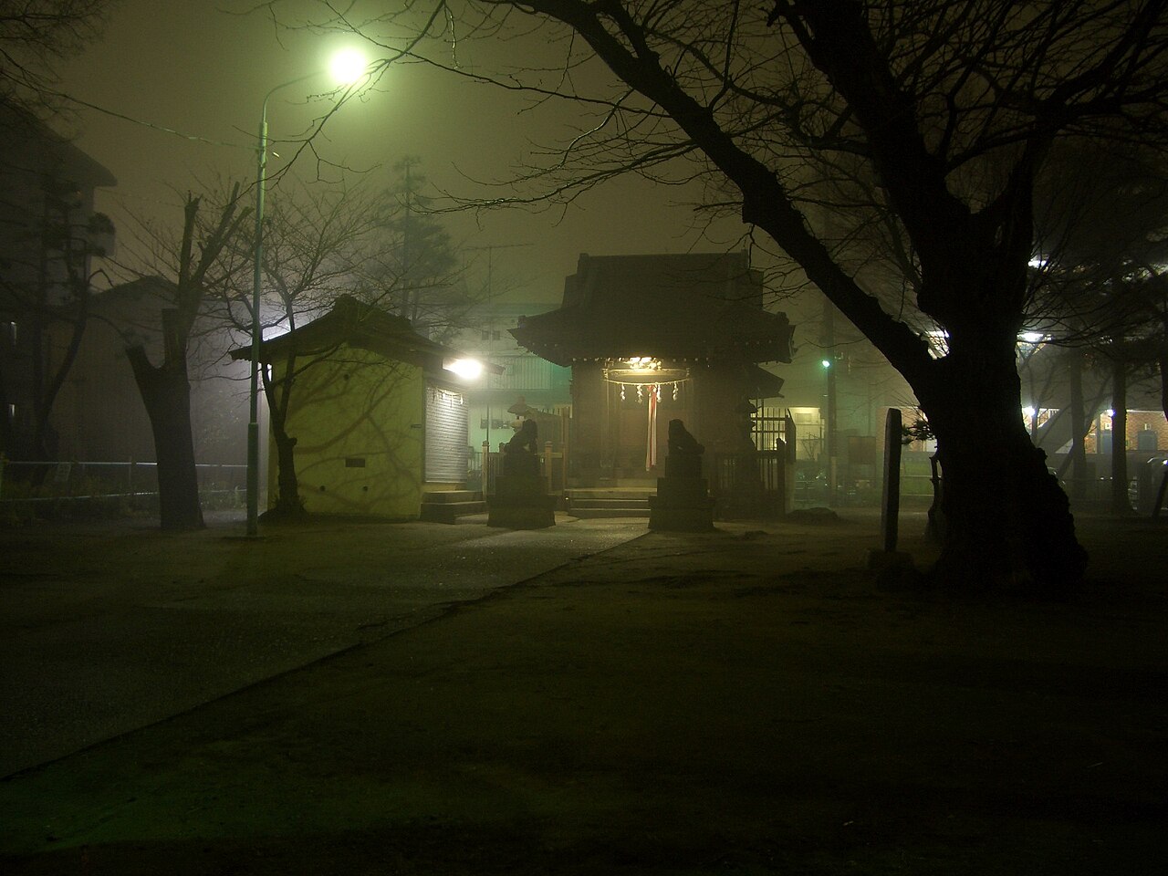 20050312_CIMG0360_1600